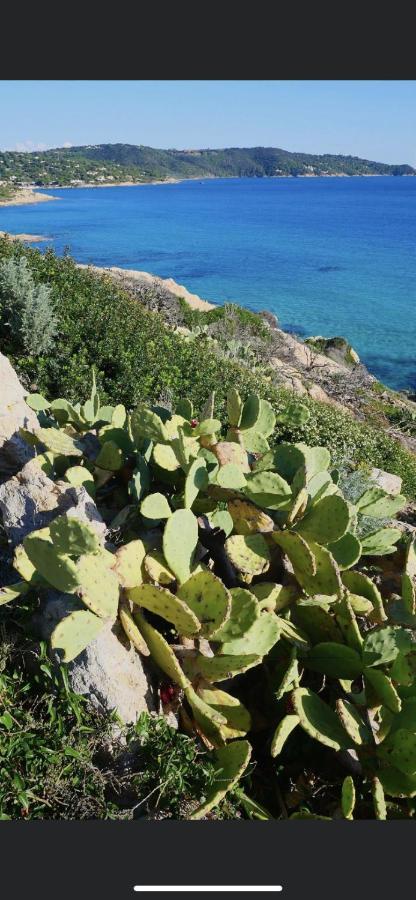 La Dolce Vita Mazet A Gassin Golfe De Saint Tropez Extérieur photo